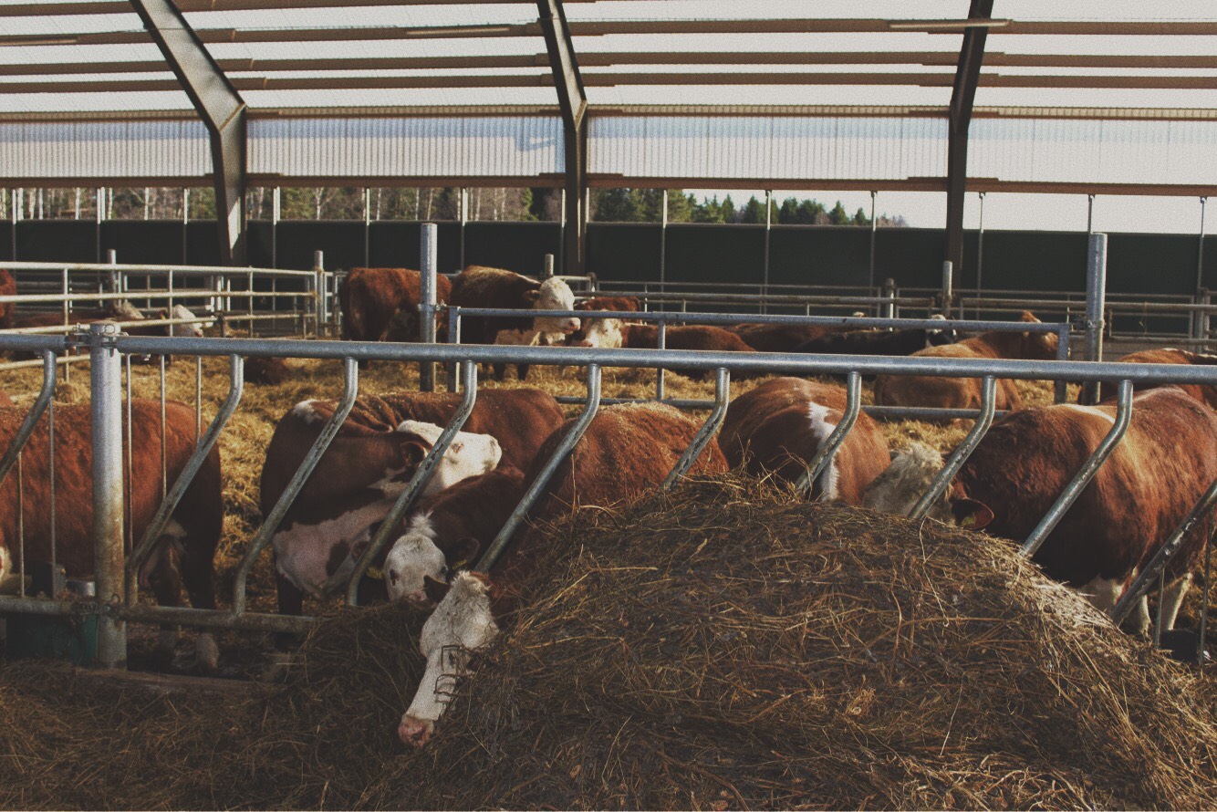 110C8F1E-220E-4950-9D2E-3799C76F5475